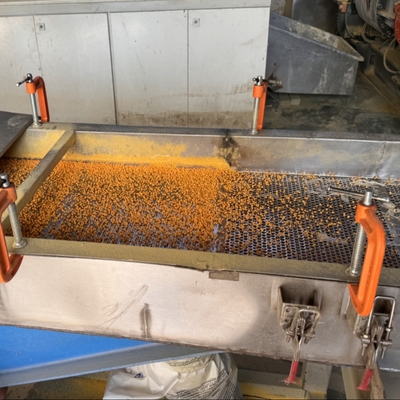 Machine de granulation de mousse XPE pour le polyéthylène XLPE EVA