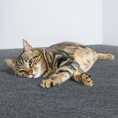 Tapis à gratter auto-adhésif pour chat, 40x100cm, réglable, pour couvrir la tour du chat